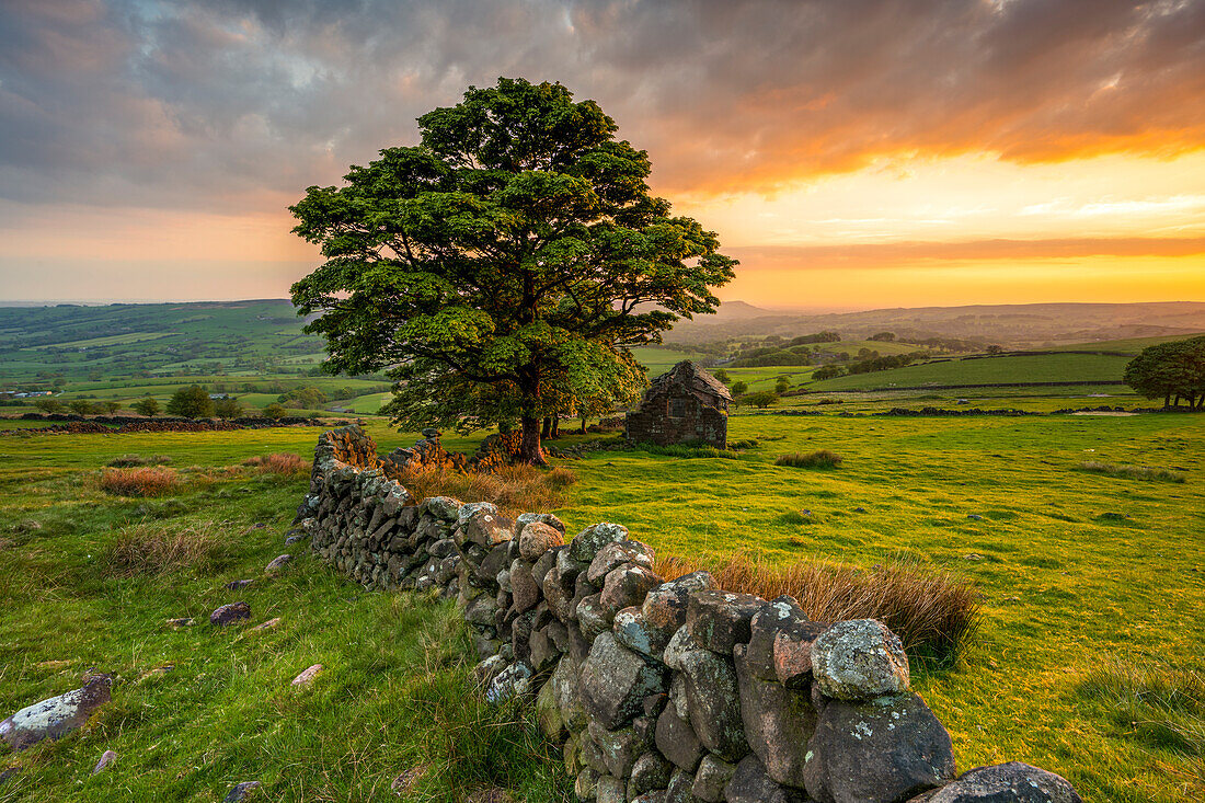 Spektakulärer Sonnenuntergang am Roach End mit alter verfallener Scheune, The Roaches, Staffordshire, England, Vereinigtes Königreich, Europa