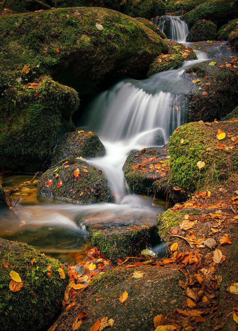 Herbst im Höllbachtal, Rettenbach, Oberpfalz, Bayerischer Wald, Bayern, Deutschland; Europa
