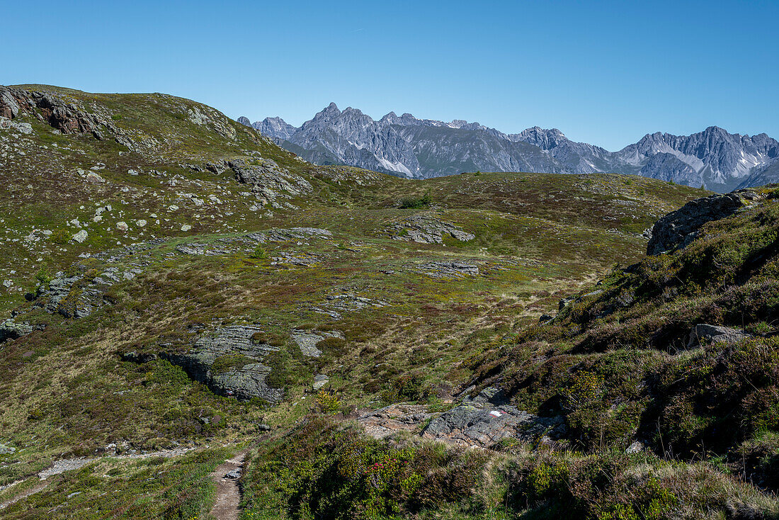 View of the Alps from the E5 European long-distance hiking trail, Wenns, Tirol, Austria