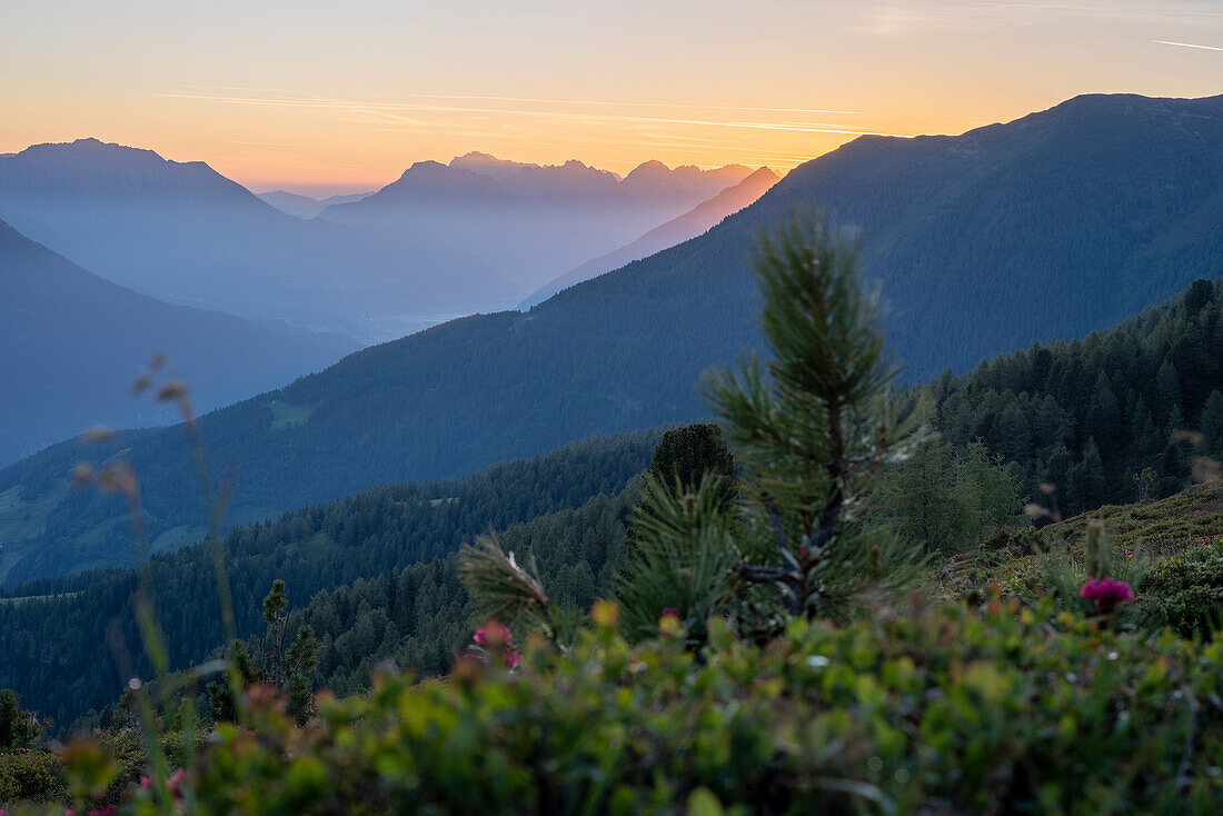 Sonnenaufgang in den Alpen, Krahberg, Berg Venet, liegt am Europäischen Fernwanderweg E5, Zams, Tirol, Österreich