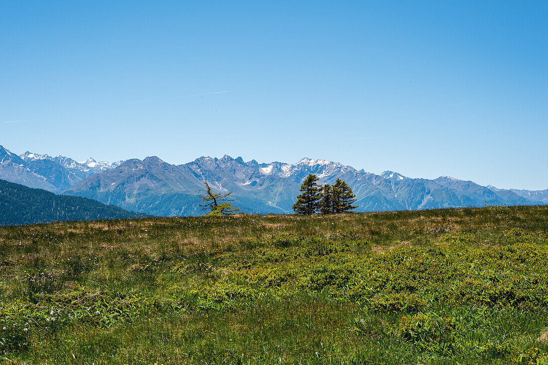 Blick auf die Alpen, Europäischer Fernwanderweg E5, Abstieg nach Wenns, Tirol, Österreich