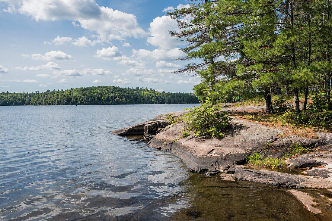 Canada, Ontario, Lake and forest