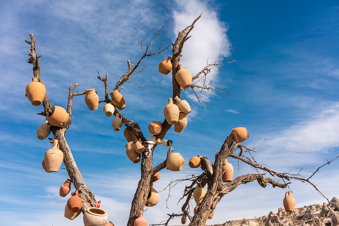 Türkei, Kappadokien, Göreme, Wunschbaum gegen Himmel