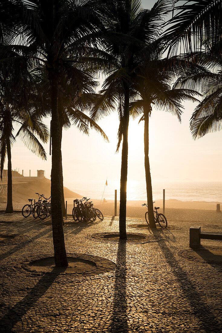 Brasilien, Rio de Janeiro, Palmen und Fahrräder in Strandnähe bei Sonnenuntergang
