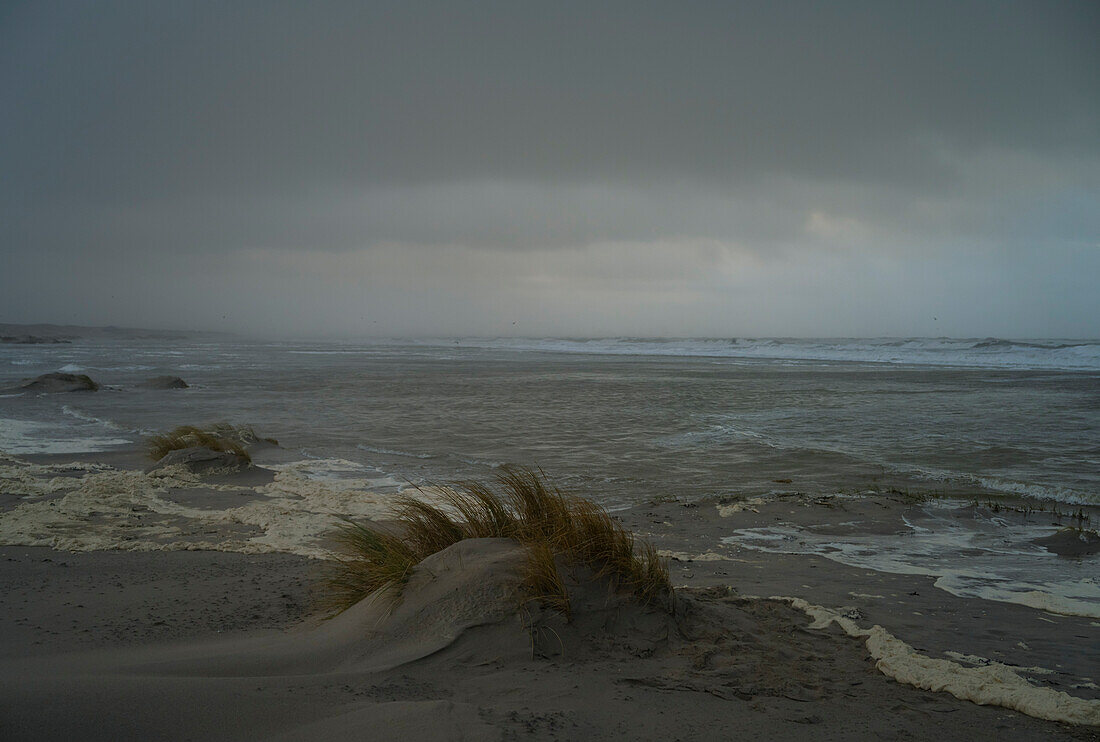 Gewitterwolken über Sandstrand und Meer