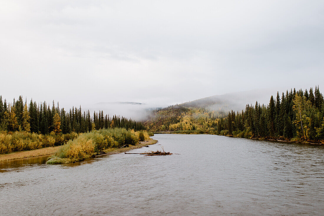 Kanada, Yukon, Whitehorse, Fluss und Wald an bewölkten und nebligen Tagen