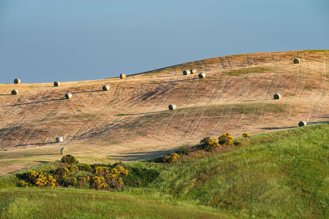Harvested wheat field with straw bales, landscape around Pienza, Val d'Orcia, Orcia Valley, UNESCO World Heritage Site, Province of Siena, Tuscany, Italy, Europe