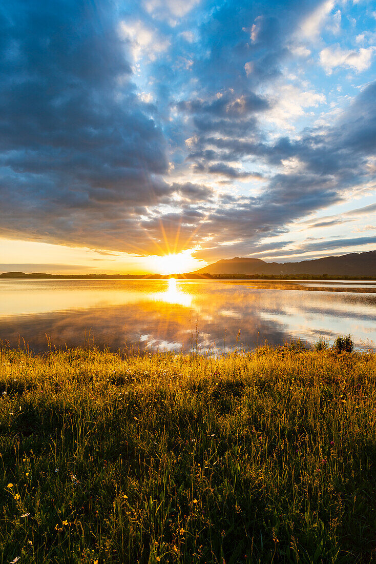 Sonnenaufgang am Forggensee, Ostallgäu, Allgäu, Schwaben, Bayern, Deutschland, Europa