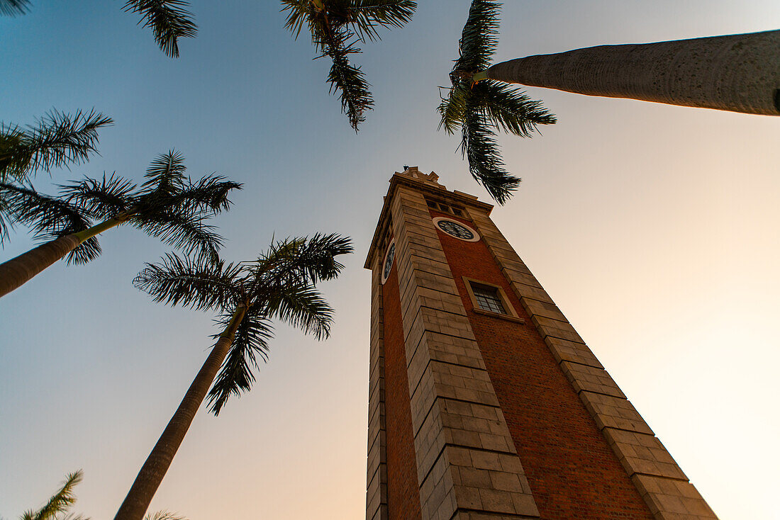 Tiefwinkelansicht des Uhrturms und der Palmen gegen den Himmel