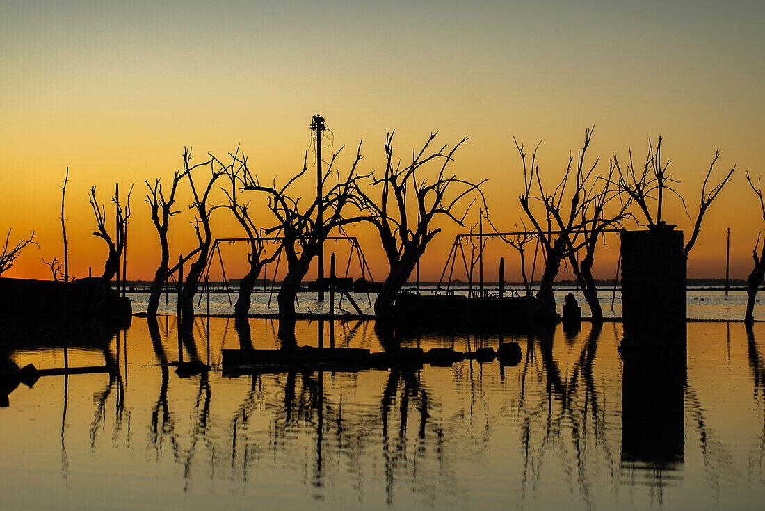 Silhouette kahle Bäume und verlassenes Dorf an der Küste bei Sonnenuntergang, Villa Epecuen