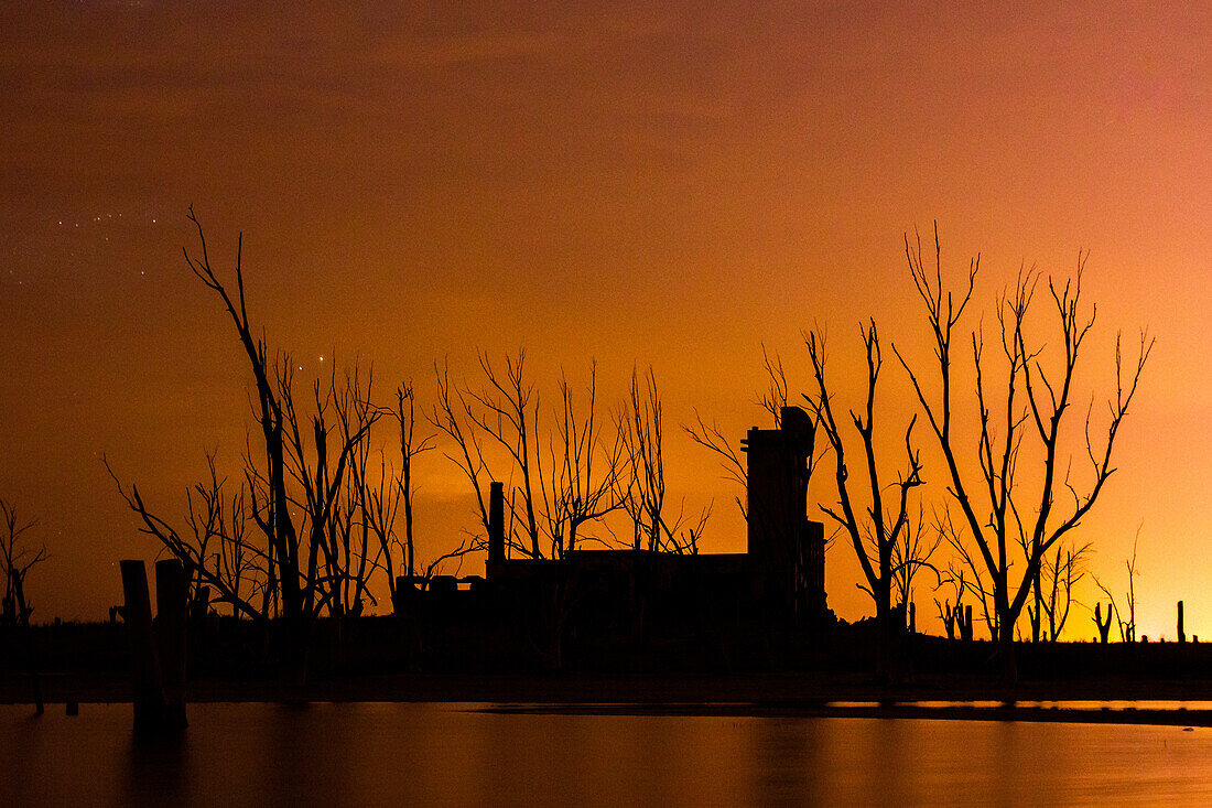 Silhouetted bare trees and abandoned village by coastline during sunset, Villa Epecuen