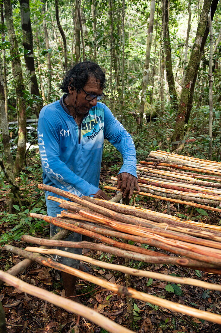 Ein brasilianischer Naturführer baut einen natürlichen Mittagstisch in einem Wald, nahe Manaus, Amazonas, Brasilien, Südamerika