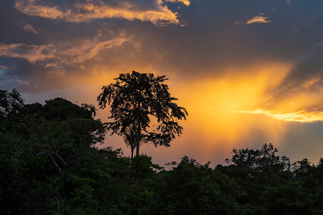 Dramatischer Sonnenuntergang über einem Nebenfluss des Amazonas, nahe Manaus, Amazonas, Brasilien, Südamerika