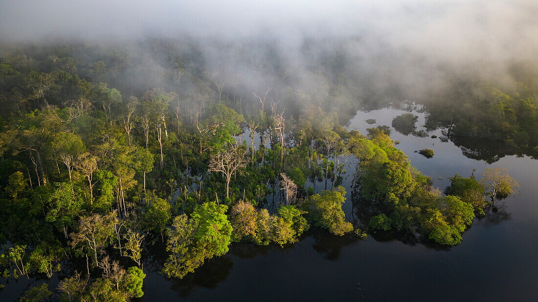 Aerial view of the fog trapped in the flooded treetops along the river, near Manaus, Amazon, Brazil, South America