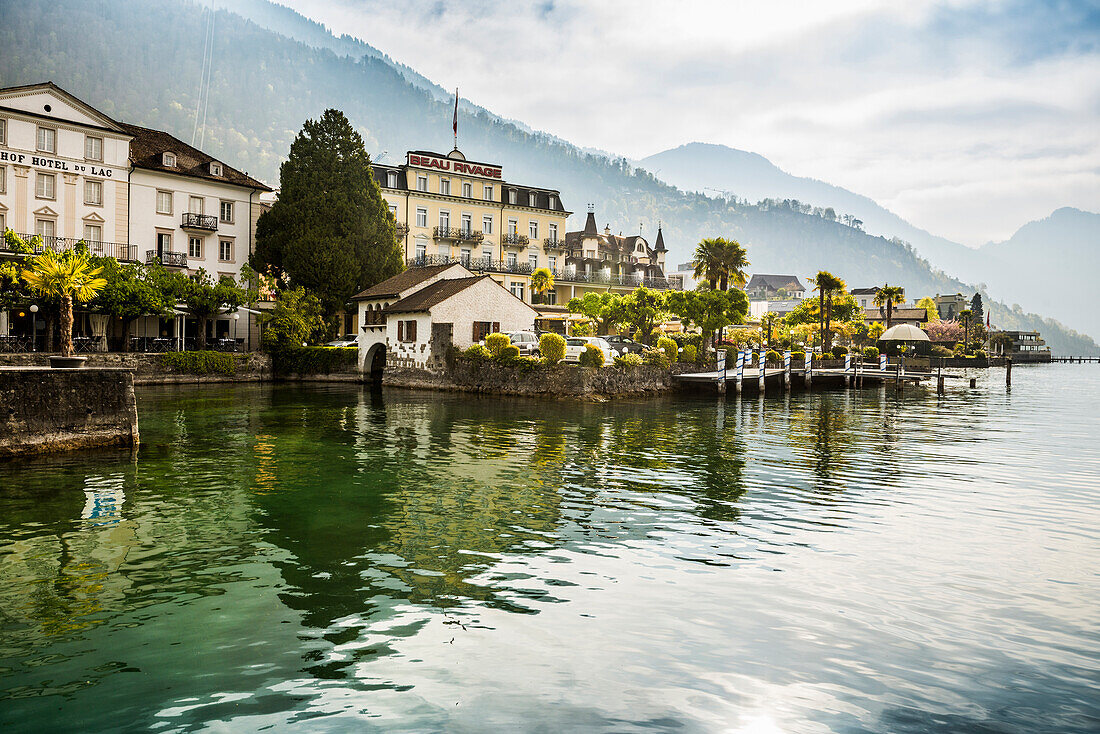 Hotels und Häuser am See, Weggis, Vierwaldstättersee, Kanton Luzern, Schweiz