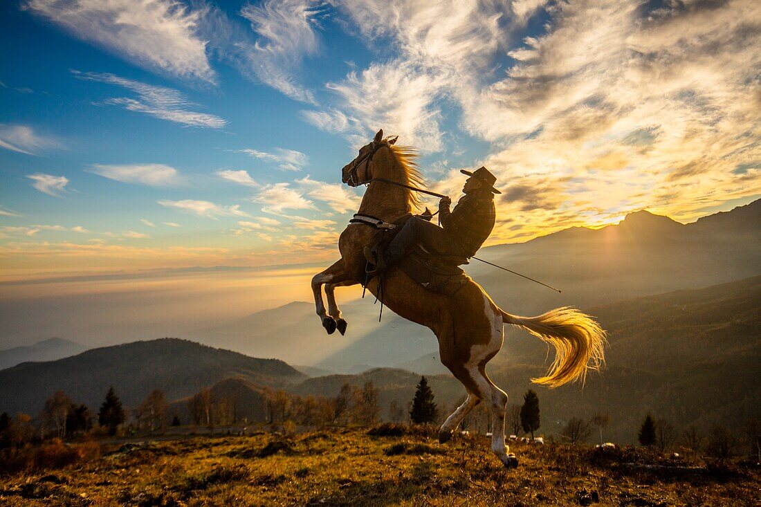 Bielmonte Equestrian Center, Bielmonte, Piemont, Italien, Europa