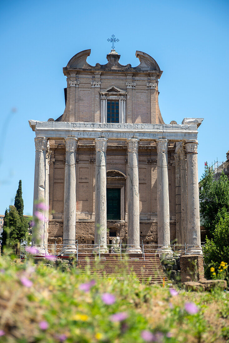 Tempel des Antoninus und Faustina, Forum Romanum, UNESCO-Weltkulturerbe, Rom, Latium, Italien, Europa