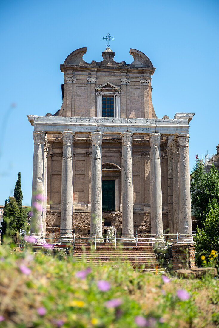 Temple of Antoninus and Faustina, Roman Forum, UNESCO World Heritage Site, Rome, Lazio, Italy, Europe