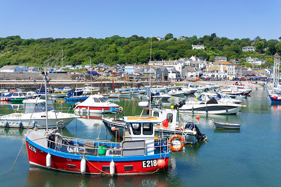 Fischerboote und Yachten im Hafen von Jurassic Coast in Lyme Regis, Dorset, England, Vereinigtes Königreich, Europa