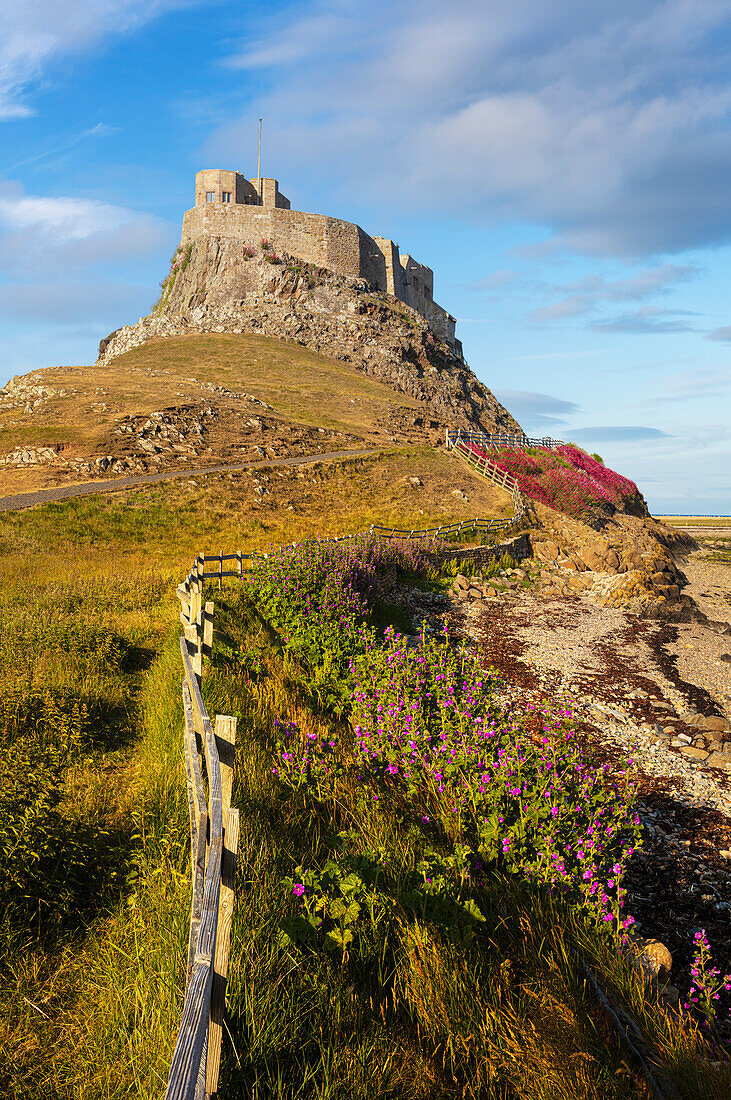 Lindisfarne Castle on a clifftop, Lindisfarne Island, Holy Island, Lindisfarne, Northumberland, England, United Kingdom, Europe