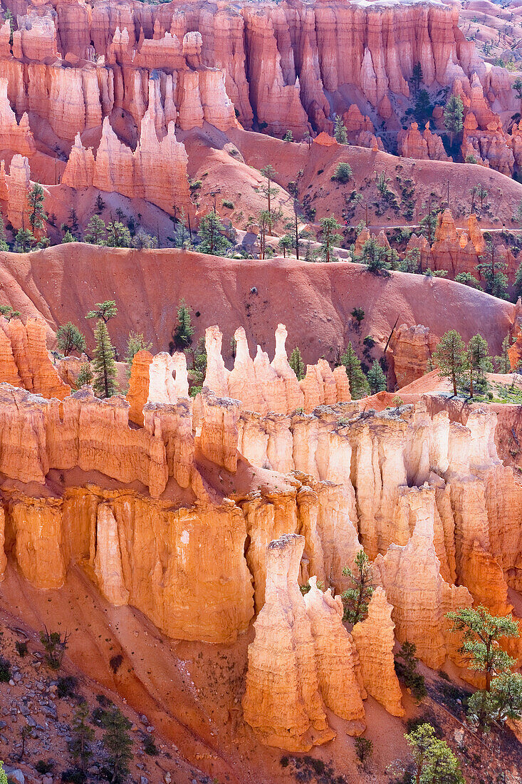 Bryce Canyon, Bryce Canyon National Park, Utah, United States of America, North America