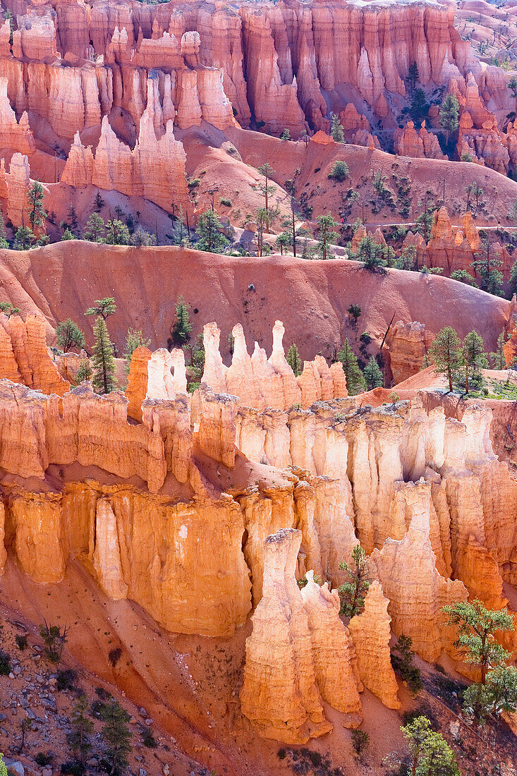 Bryce Canyon, Bryce-Canyon-Nationalpark, Utah, Vereinigte Staaten von Amerika, Nordamerika