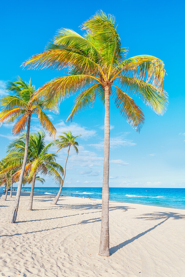 Strand von Fort Lauderdale, Fort Lauderdale, Broward County, Florida, Vereinigte Staaten von Amerika, Nordamerika