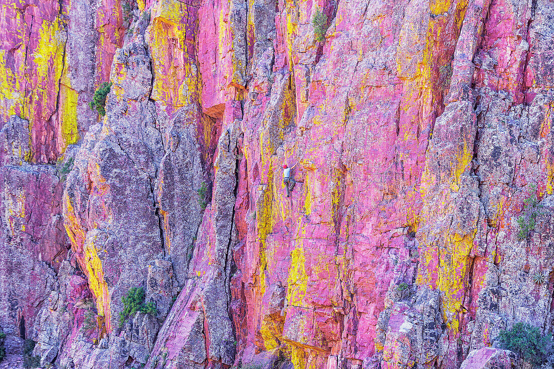 Mann beim Klettern, Coconino National Forest, Arizona, Vereinigte Staaten von Amerika, Nordamerika