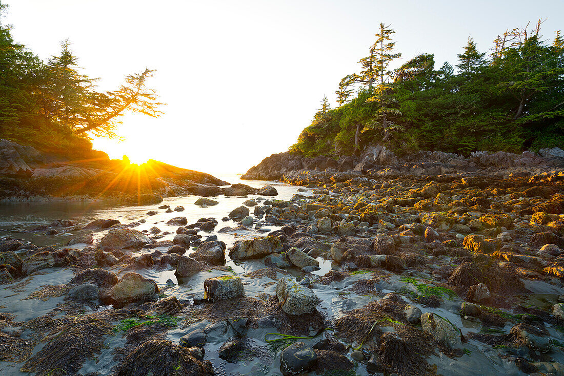 Sonnenuntergang am Mackenzie Beach, Tofino, Vancouver Island, British Columbia, Kanada, Nordamerika