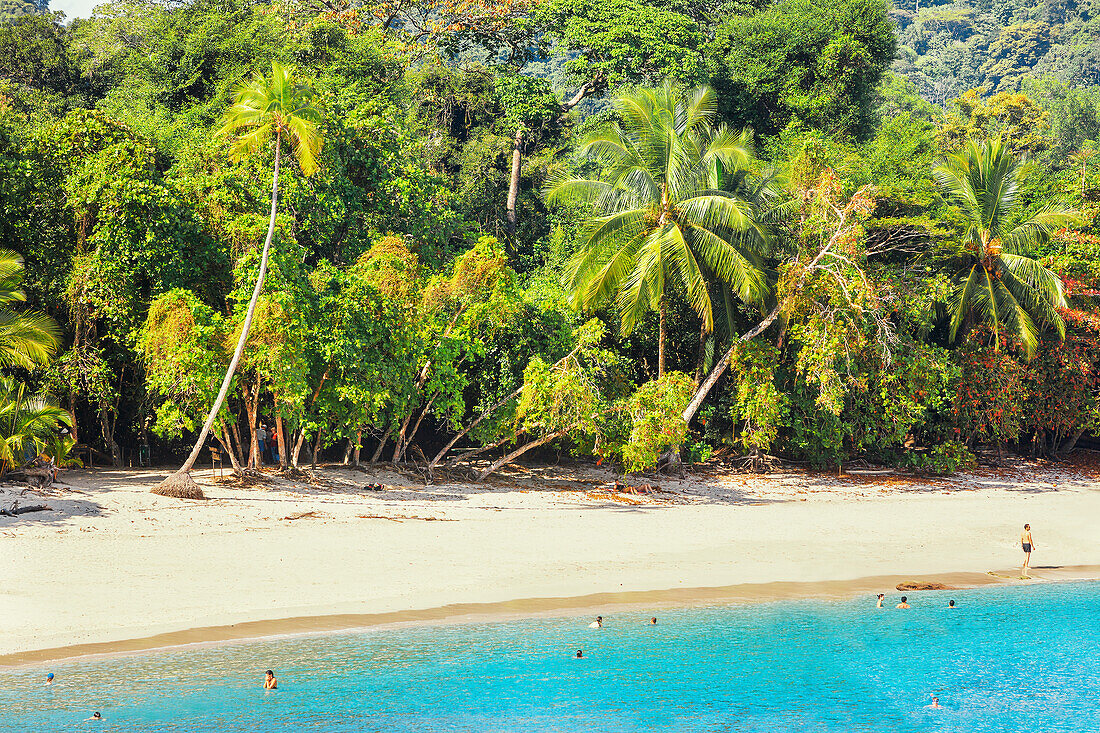 Tropical beach, Manuel Antonio National Park, Quepos, Costa Rica, Central America