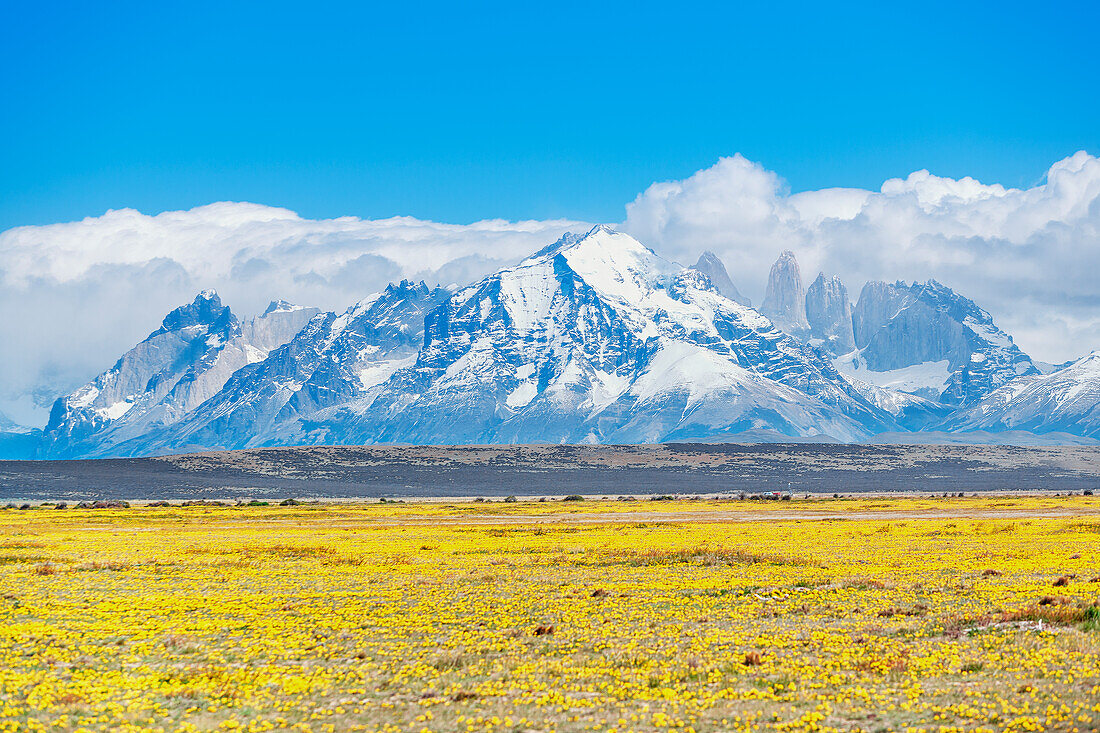 View of Horns of Paine (Cuernos del Paine) mountain range, Torres del Paine National Park, Patagonia, Chile, South America