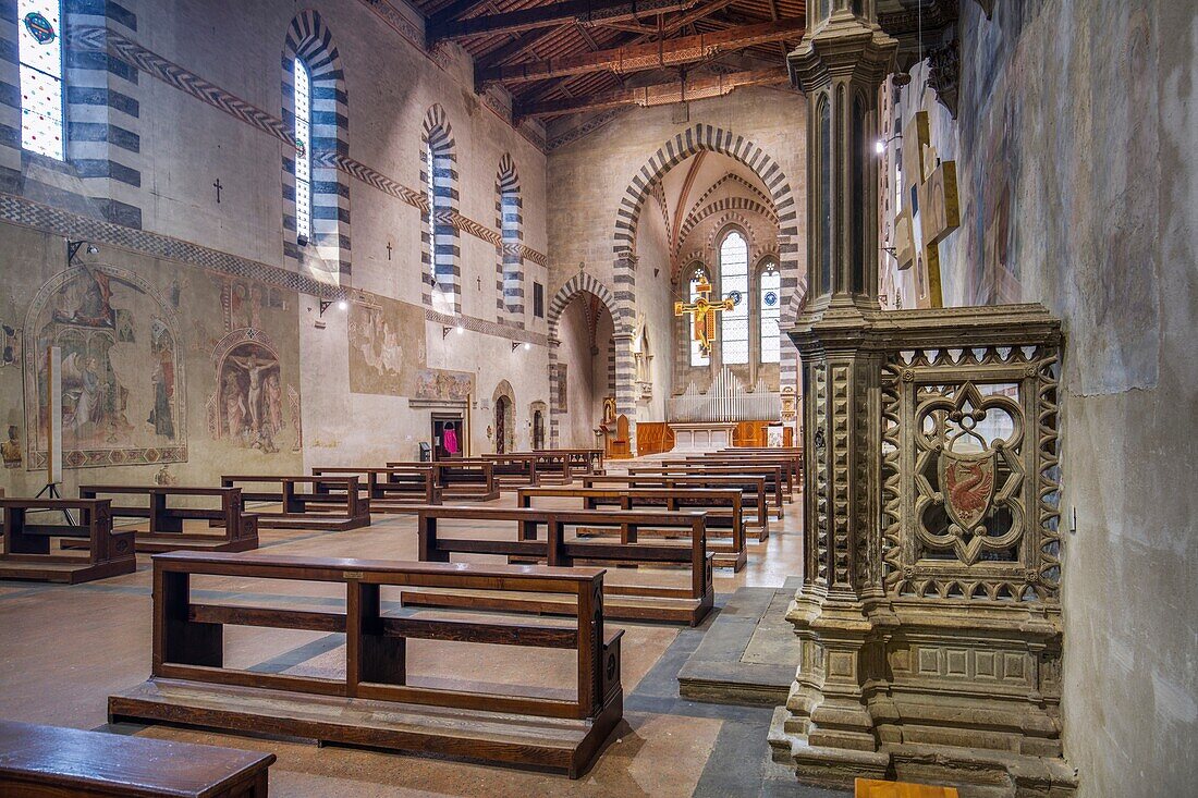 San Domenico Church, Arezzo, Umbria, Italy, Europe