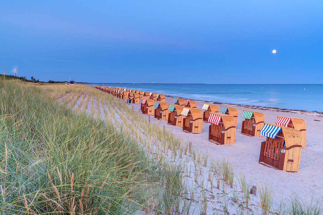 Beach in Wustrow, Fischland-Darss-Zingst, Mecklenburg-West Pomerania, Germany