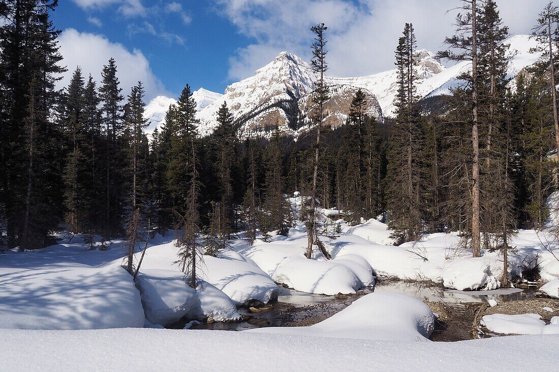 at Lake Louise in Banff National Park, Alberta, Winter in Canada West