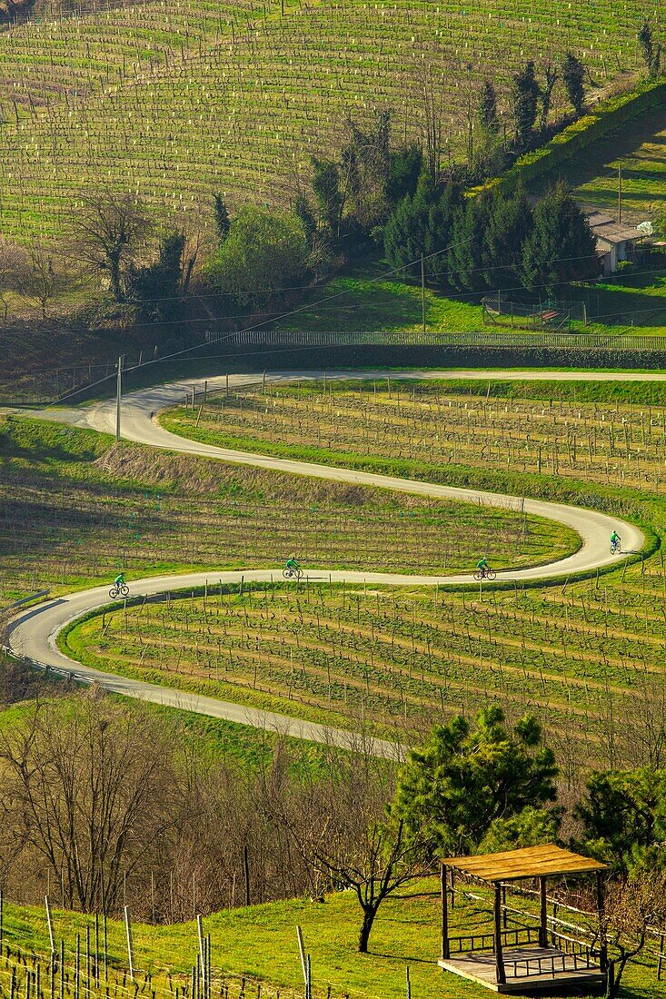 Die Panoramastraße, Canelli, Piemont, Italien, Europa