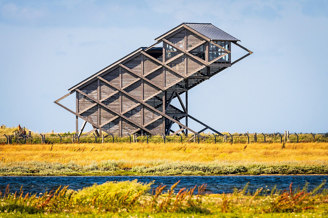 View of the observation tower for bird watching on the Graswarder, Heiligenhafen, Ostholstein, Schleswig-Holstein, Germany