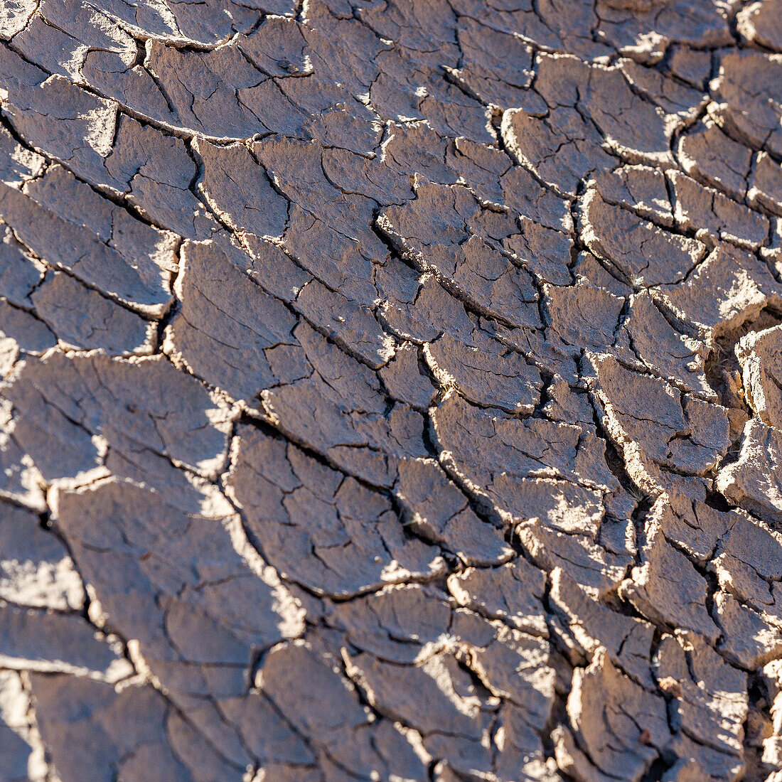 United States, Utah, Escalante, Dried streambed cracking into pieces