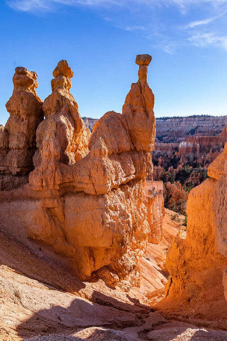 United States, Utah, Bryce Canyon National Park, Hoodoo rock formations in canyon