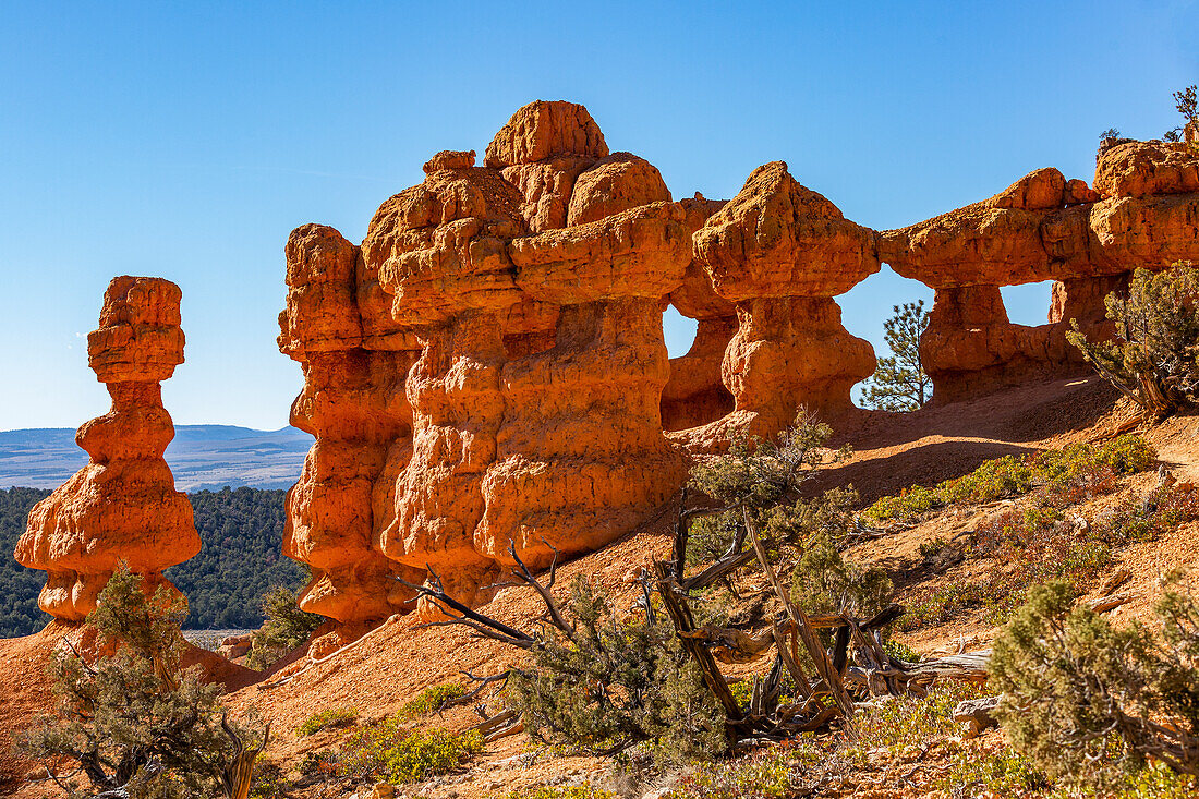United States, Utah, Bryce Canyon National Park, Hoodoo rock formations at entrance to canyon