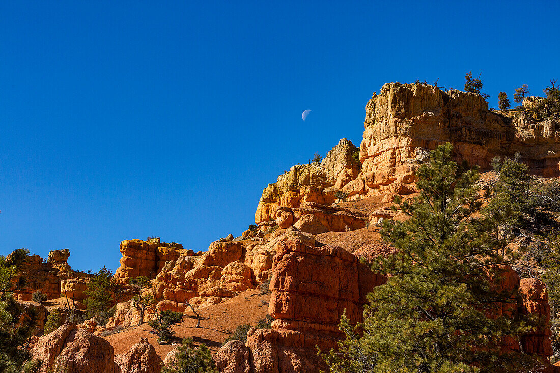 Vereinigte Staaten, Utah, Escalante, Sandsteinstruktur in der Schlitzschluchtwand