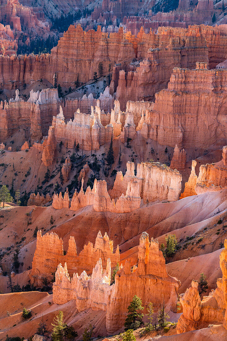 United States, Utah, Bryce Canyon National Park, Hoodoo rock formations in canyon