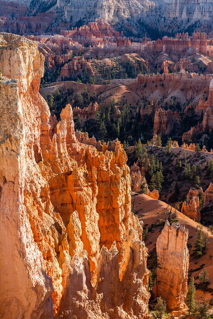 United States, Utah, Bryce Canyon National Park, Hoodoo rock formations in canyon