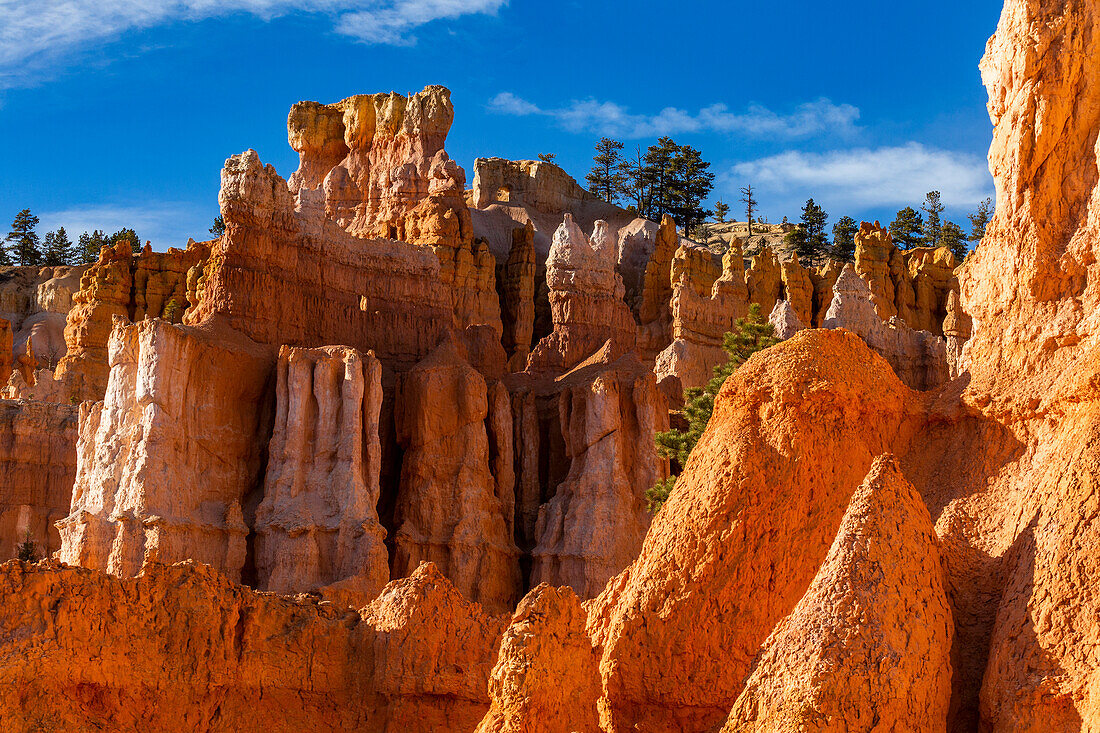 United States, Utah, Bryce Canyon National Park, Hoodoo rock formations in canyon