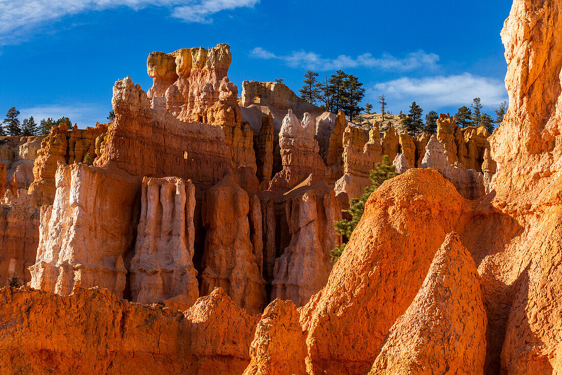 Vereinigte Staaten, Utah, Bryce Canyon National Park, Hoodoo Felsformationen im Canyon