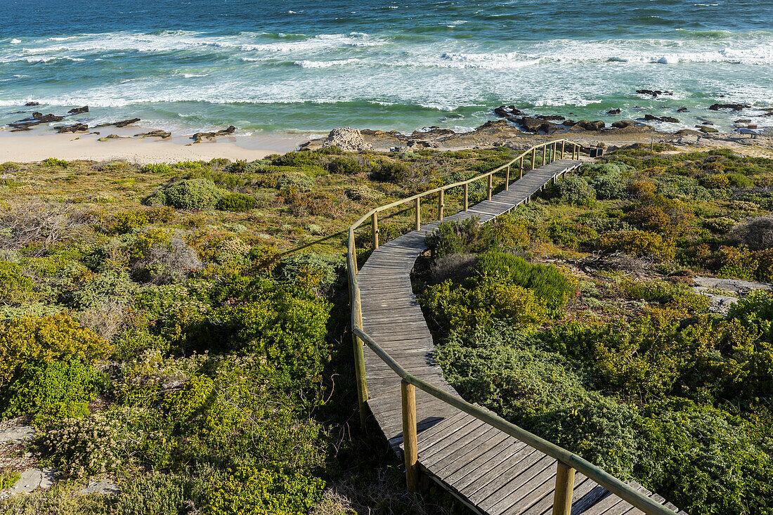 Südafrika, Western Cape, Holzbrücke zum Strand im Naturschutzgebiet Lekkerwater