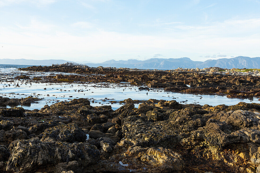 Südafrika, Gansbaai, De Kelders, felsige Küste