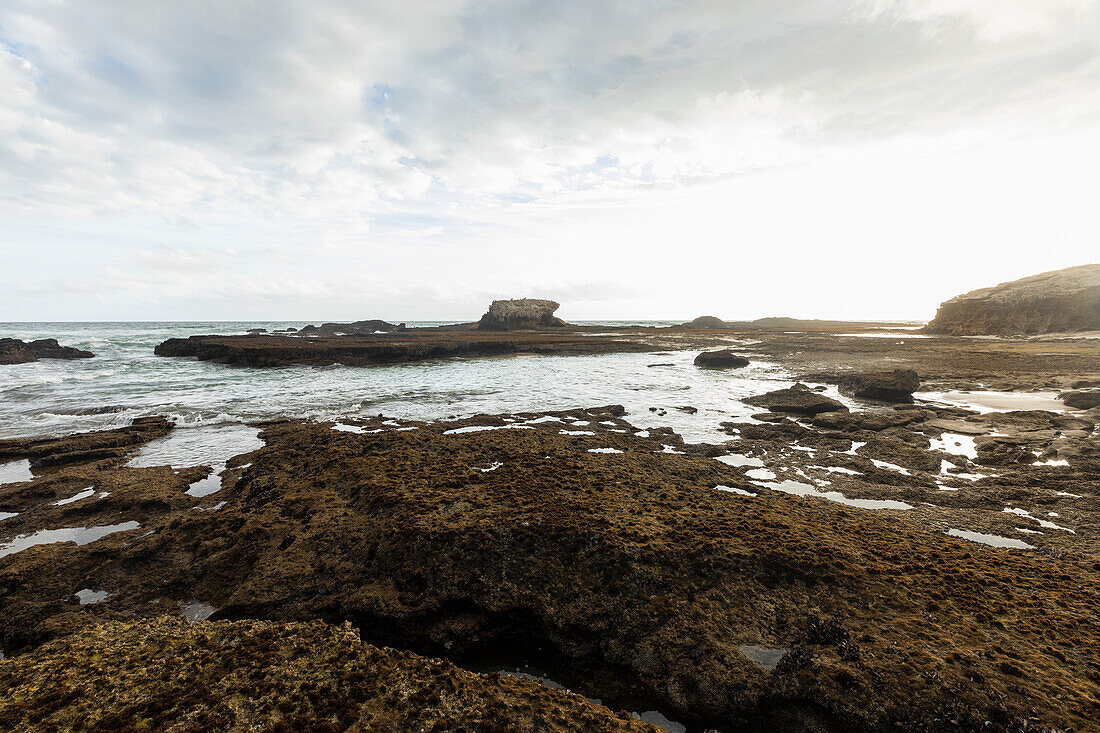 Südafrika, Western Cape, Küstenfelsen im Lekkerwater Nature Reserve