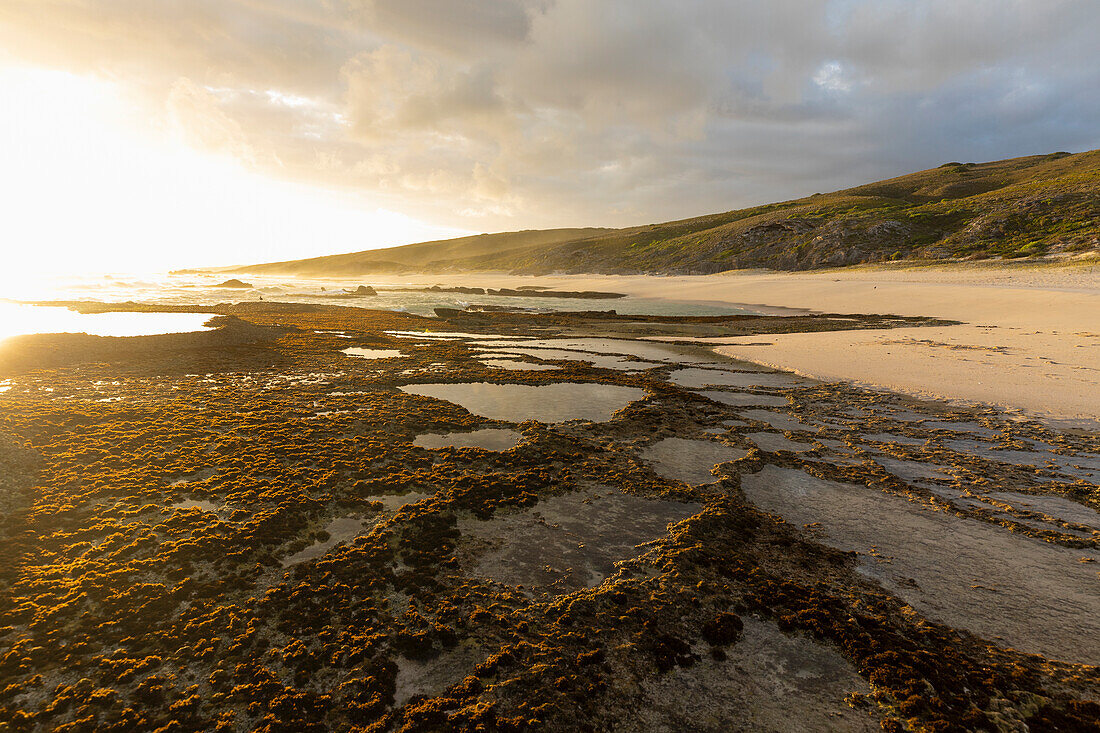 Südafrika, Western Cape, Tidal Pools im Naturschutzgebiet Lekkerwater