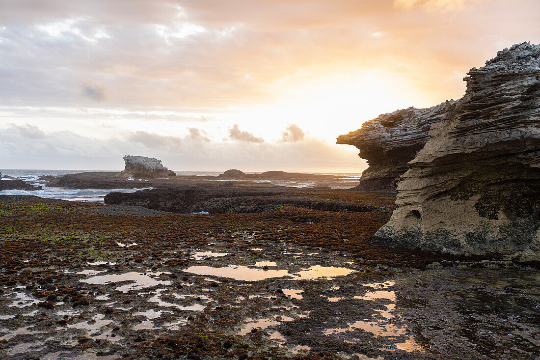 South Africa, Western Cape, Rock formations and tidal pools in Lekkerwater Nature Reserve