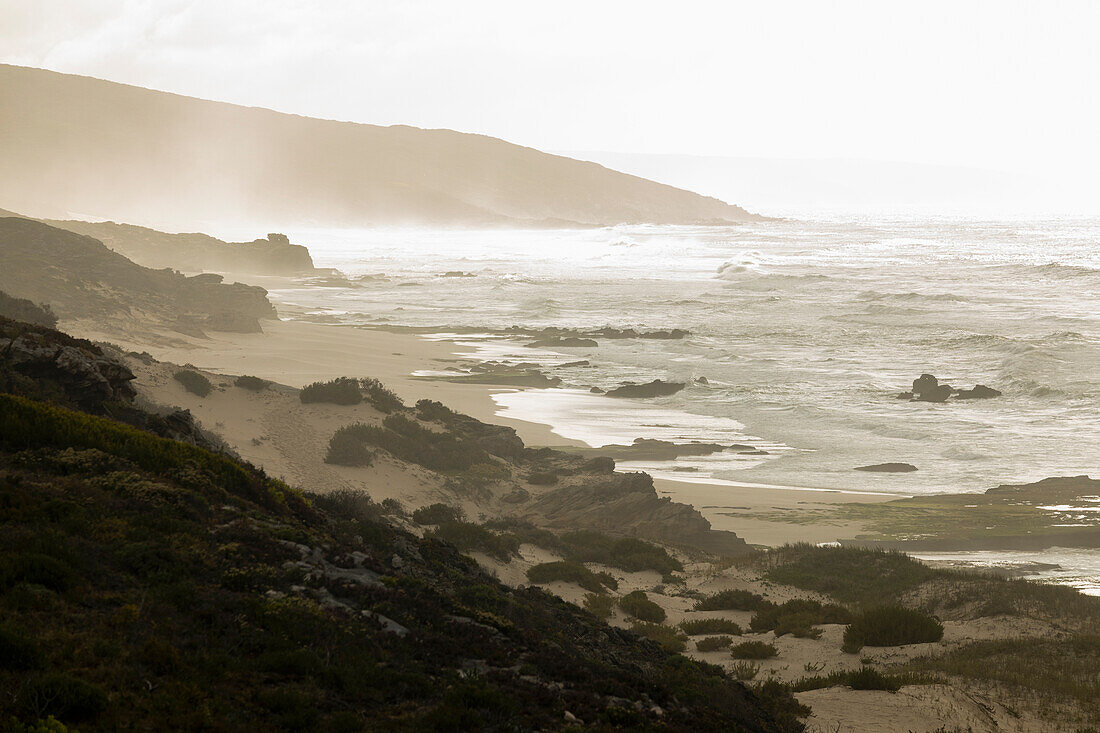 Südafrika, Western Cape, felsige Küste in Lekkerwater Nature Reserve